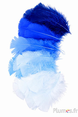 Tacchina - 6-8 cm - sfumature di blu